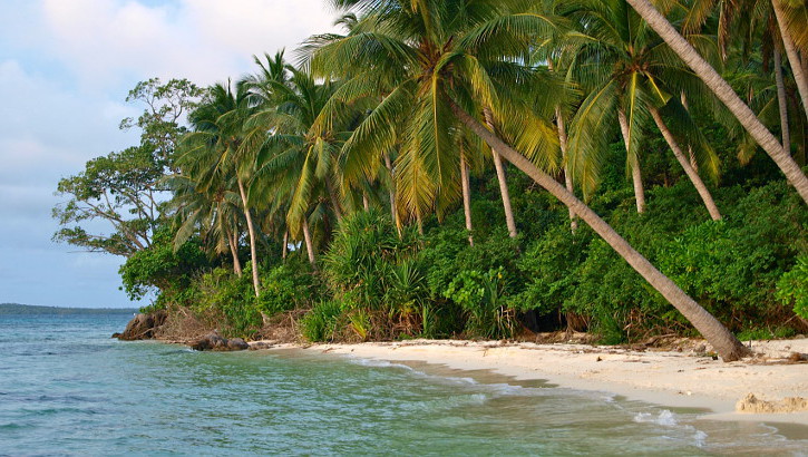 Palmengesäumter Strand von Karimunjawa