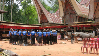 Zu Besuch bei den Tana Toraja auf Sulawesi Zu Besuch bei den Tana Toraja auf Sulawesi