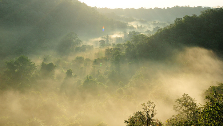 Blick über den Taman Nasional Bali Barat