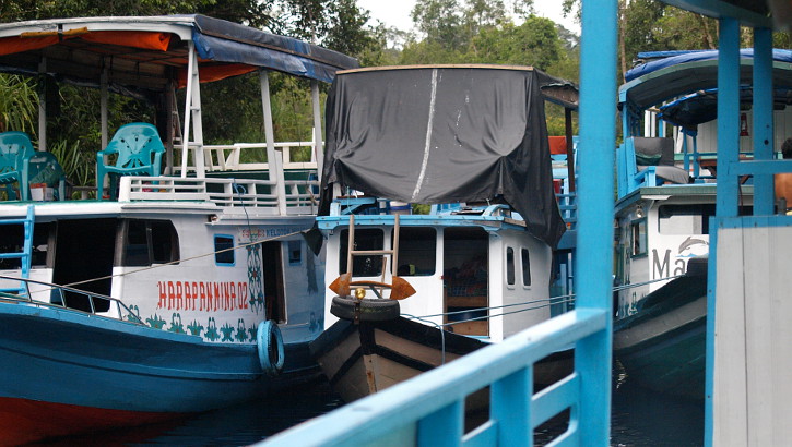 Hausboote, Klotoks für die Fahrt zu den Orang Utans auf Borneo (Kalimantan), Indonesien