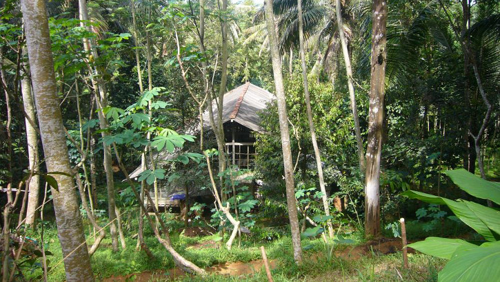 Haus im Urwald nähe Banyumas, Java, Indonesien